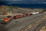Switching Whitefish Yard